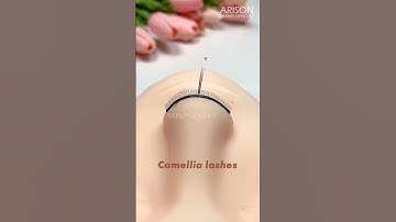 Maple Lash Extension Style (With Lash Map)