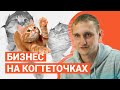 Бизнес на кончиках когтей. Как кошка помогла паре из Екатеринбурга открыть свое дело | E1.RU