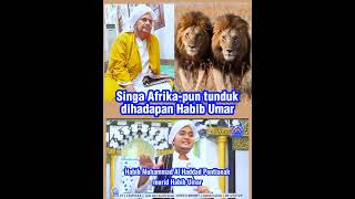 Singa-Pun Tunduk Sama Habib Umar Bin Hafiz Kisah Nyata