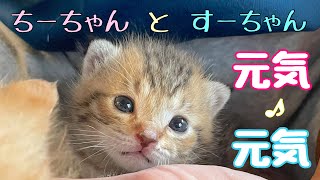 ちーちゃんと　すーちゃん　元気　元気