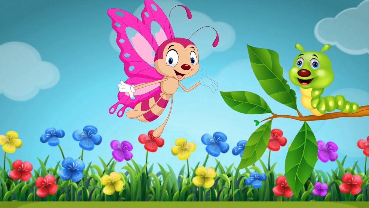 Life Cycle of Butterfly Malayalam for Kids YouTube
