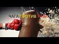 Чага против рака и не только!!!