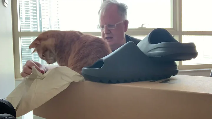 Toby gets a new Cat Box by Yeezy Kanye West is a genius Slides Adidas Originals unboxing