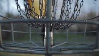 Black Bear Diner Disc Golf Bear