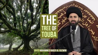 The Tree of Touba!  Sayed Mohammed Baqer AlQazwini