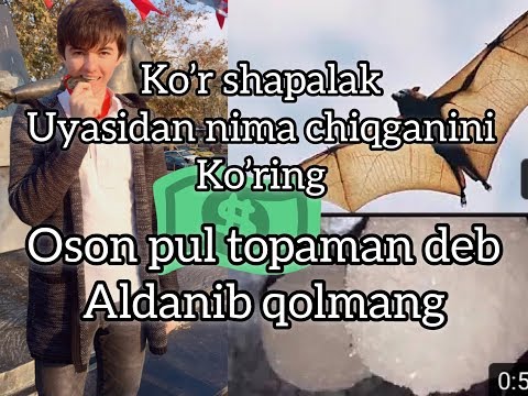 Video: Lakanning asli nima?