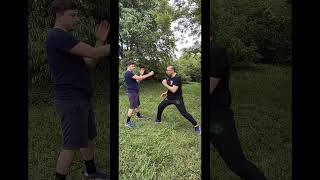 Wing Chun | allenamento corta distanza (principianti) #wingchun #ipman #samlau #wingchuntraining