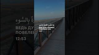 Сура Йусуф, аят 53. Читает Абдуллах Хумейд. Видео можно скачать в тг - quranthq #shorts#ислам#коран