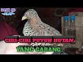 CIRI-CIRI PUYUH HUTAN YANG GARANG