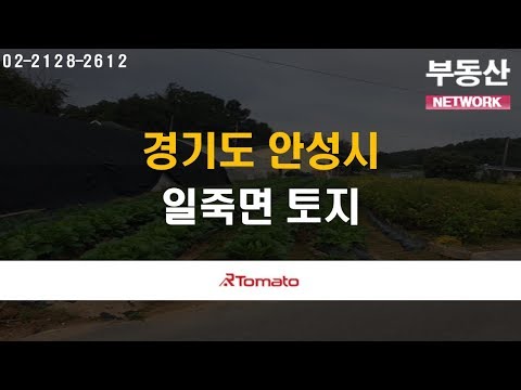 부동산토마토TV 알토마토 rtomato 11/04(월) 부동산네트워크 : 경기도 안성시 일죽면 토지
