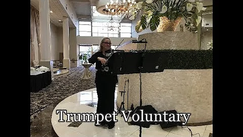 Trumpet Voluntary on Acoustic Violin