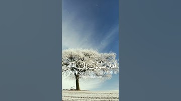 سبحان الله وبحمده سبحان الله العظيم. القارئ #عبدالرحمن_مسعد ،سورة المائدة. #القرآن #quran #اكسبلور