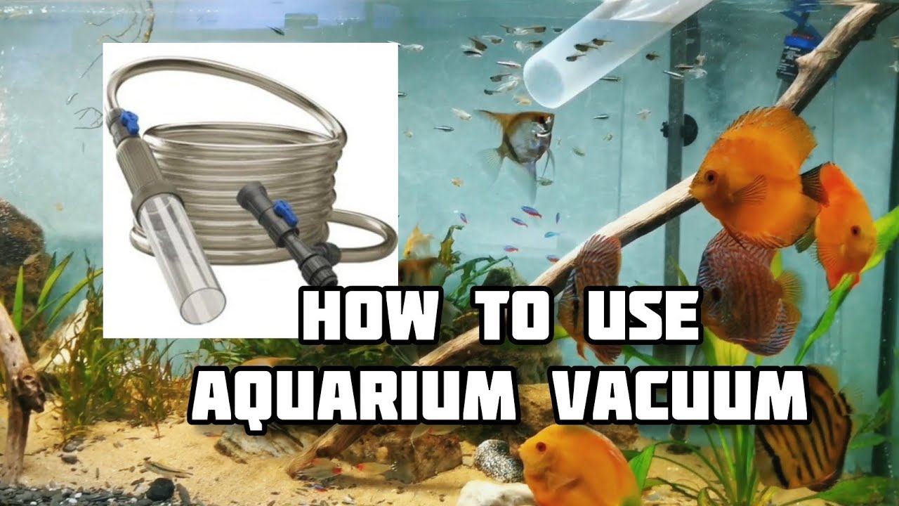 Aquarium Vakuum Siphon Pumpe Reiniger Aquarium Sauberes Vakuum