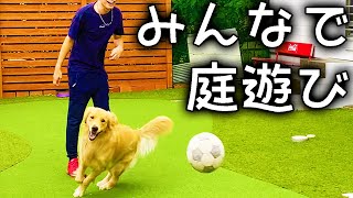 遊んでくれる人が多いほど喜んで庭を駆け回るレトリバー