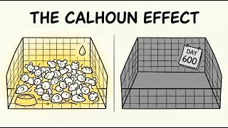 Full The Calhoun Effect News