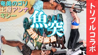 【大自然】キジー参戦！南の島で魚突きに挑戦したら奄美のゴリが凄すぎた