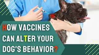 Why Your Dog Behavior Changes After Vaccination? by Charming Pet Guru Official 15 views 2 weeks ago 10 minutes, 24 seconds