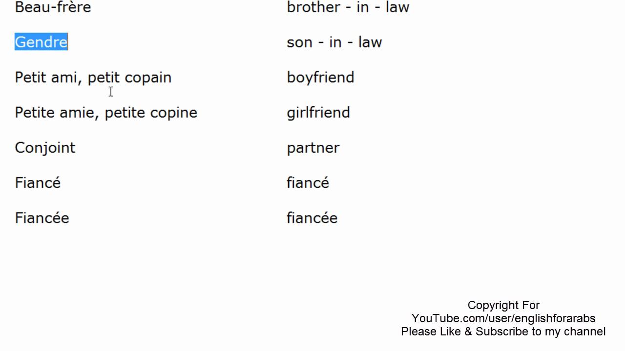 Family vocabulary in French part 4 - French For Beginners