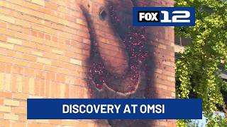 Mysterious mark shows up on side of OMSI building