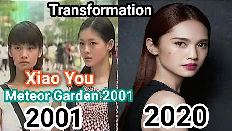 METEOR GARDEN 2001 CAST XIAO YOU | RAINIE YANG TRANSFORMATION FROM 2001 TO 2020 - DayDayNews
