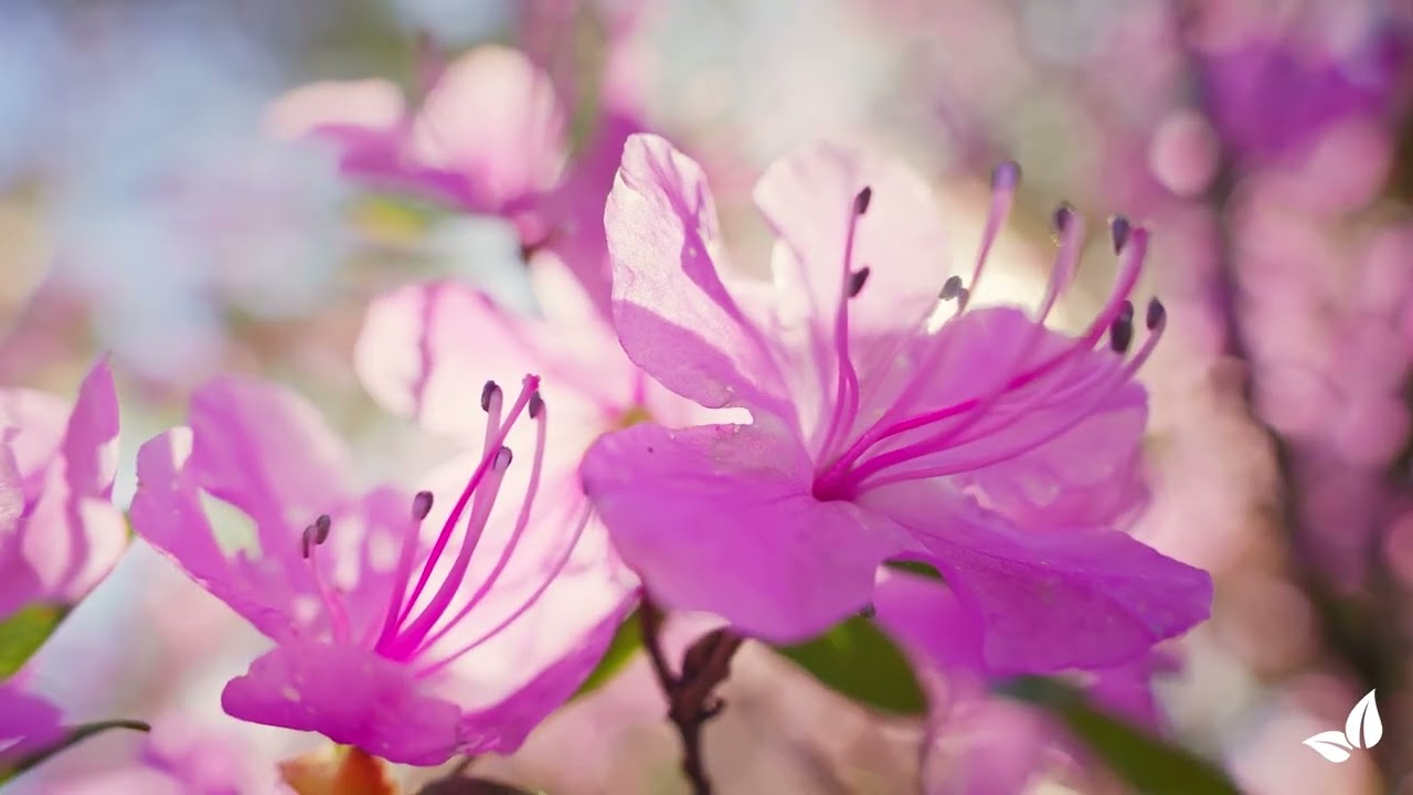 florabest dnger Erdbeer Dnger
