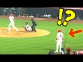 大谷の３０号ホームランを見たトラウトの反応が面白過ぎるｗｗしかも神過ぎる対応「彼は本当に賢い」こりゃ泣けるわ！！【shohei ohtani】