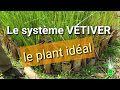 Le systme vetiver  le plant idal