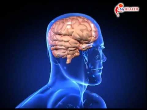 Video: Kebaikan Pranayama Untuk Kesihatan Fizikal Dan Emosi