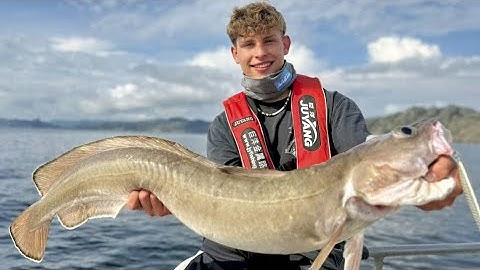 Borhaug im Spätsommer 2025