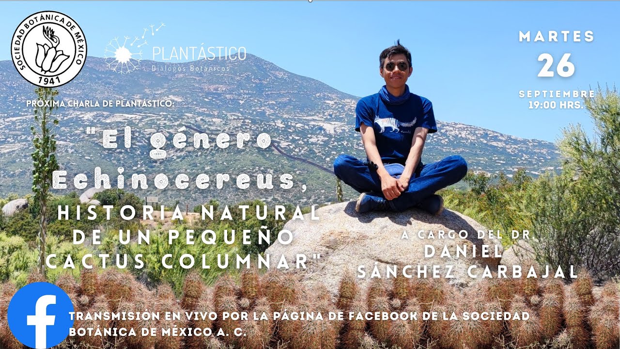 "El género Echinocereus: historia natural de un pequeño cactus columnar"