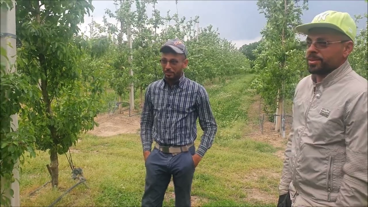 PERETI A PARETE: L'ESPERIENZA DEI FRATELLI CIPOLLETTA