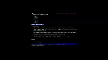 Installing arch linux for the first time - using official guided installer