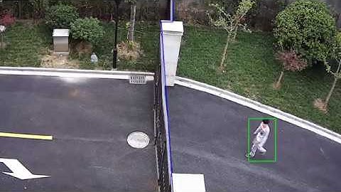 IP Surveillance Camera System Line Crossing Alert Feature