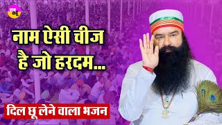 Naam esi cheej hai Bhajan:  नाम ऐसी चीज है जो हरदम जीव की...| DSS Bhajan
