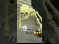 #fypシ