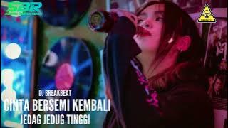 DJ BREAKBEAT CINTA BERSEMI KEMBALI FULL BASS 2022 ( diki sbd official ) || SBR V2