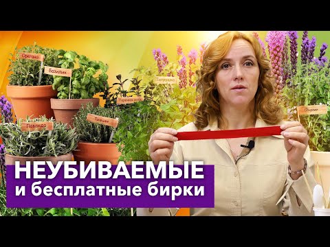 ЧУДО-БИРКИ ДЛЯ РАСТЕНИЙ: ДЕЛАЮ САМА ЗА ПАРУ СЕКУНД! Теперь всегда знаю, где и что растет