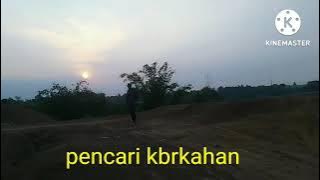 sholawat merdu syekona