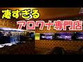 『アロワナ』最強のアジアアロワナ専門店の凄さを世間に伝えたい！大阪　キングコング　シャンロン産過背金龍　紅龍　など！