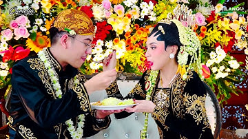 CAMELIA MUSIC - DENDANG CAMELIA - ALL ARTIST - WEDDING  YULIANA & REYHAN BANYUMANIS DONOROJO JEPARA