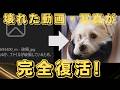 【AIファイル修復】開かない写真や動画は元に戻る？4DDiG File Repairの復元力をガチ検証！