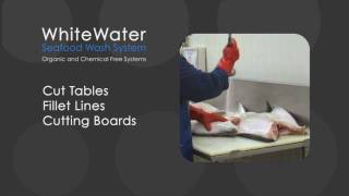 Ozone Cleaning for Seafood Processor by O3Asia.com