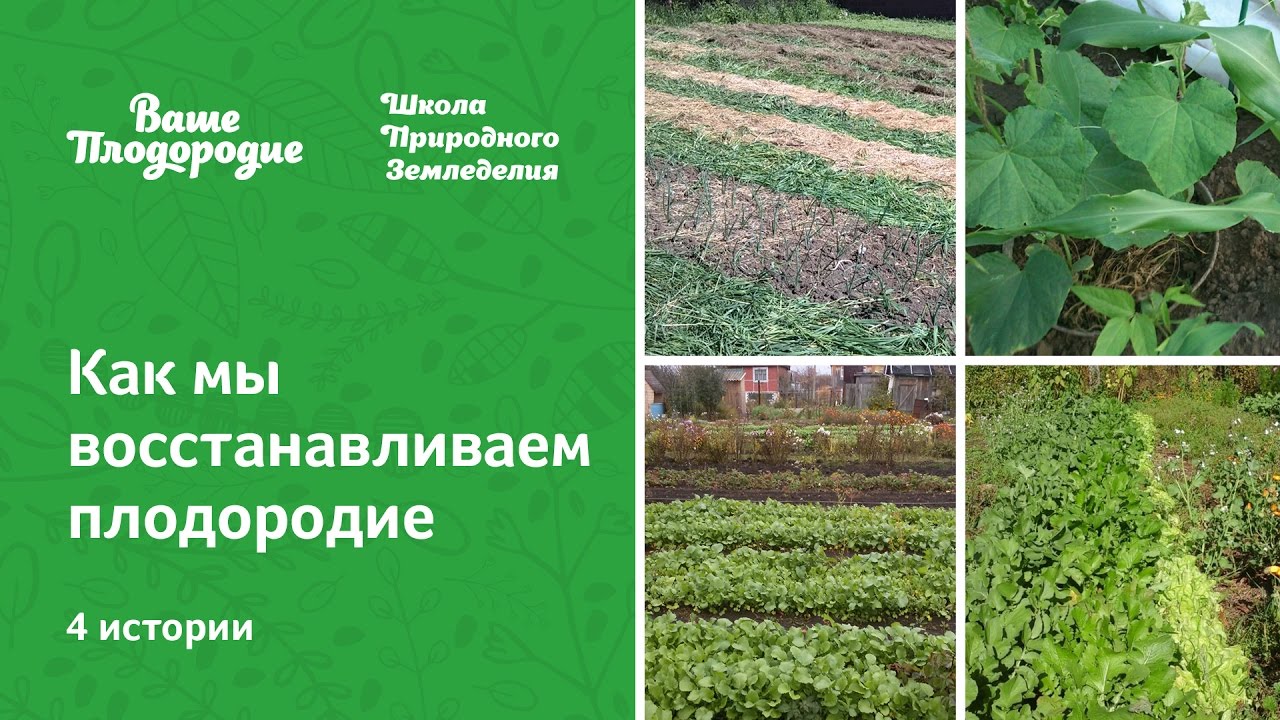 Ваше Плодородие Уфа Магазин Официальный Сайт