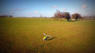 T-Rex 700e v2 Autorotation Fun