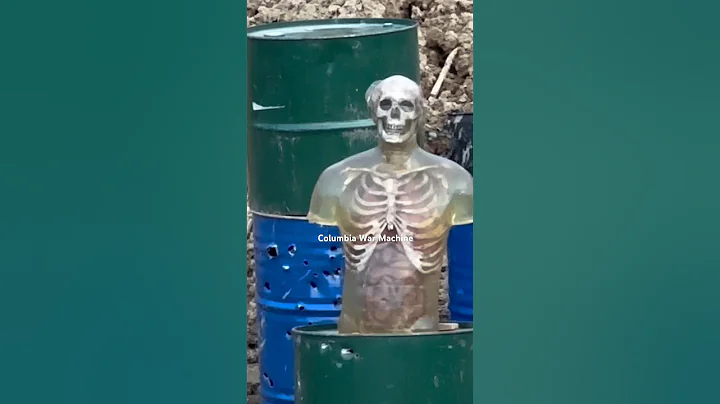 Shooting Ballistic Torso with 50 cal  #gaming #callofduty