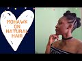 MOHAWK (with a twist) TUTORIAL ON TYPE 4 NATURAL HAIR| Ladeesnuggz A