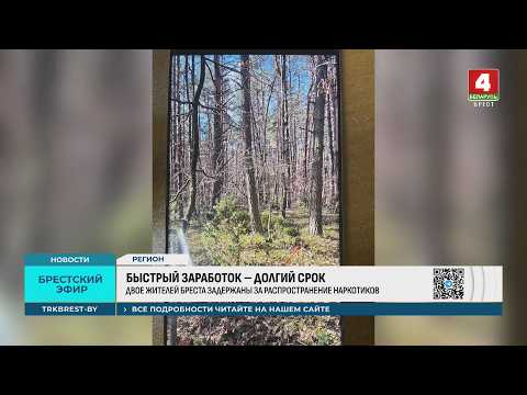 БЫСТРЫЙ ЗАРАБОТОК – ДОЛГИЙ СРОК