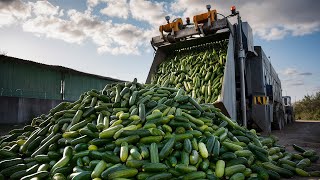 Crisp Creations: Inside the World of Cucumber Production' by Tech Machine 1,246 views 1 month ago 6 minutes, 29 seconds