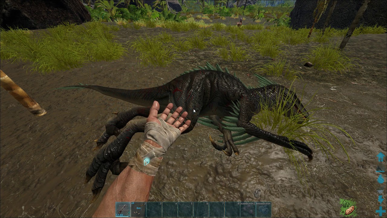 Taming Raptors How To Tame A Raptor - YouTube