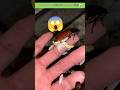 Cockroach क ऐस कभ मत म रन Cockroach Amazingfacts Animal Factsinhindi Insects Facts Short